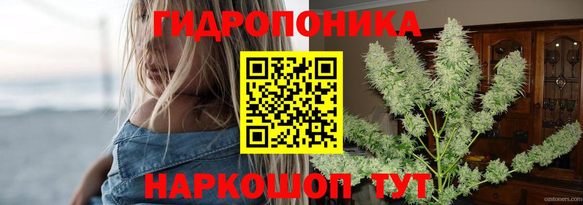 Марихуана White Widow Владимир
